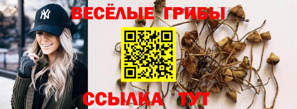 Новоалтайск  как найти закладки  Галлюциногенные грибы ЛСД  Вход с VPN  Галлюциногенные грибы мухоморы 