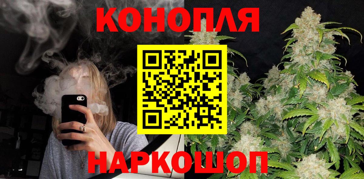 Канабис семена Новоалтайск